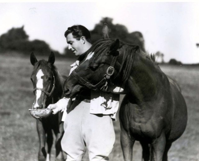 Robert Taylor, Horseman: Updated | Robert Taylor Actor