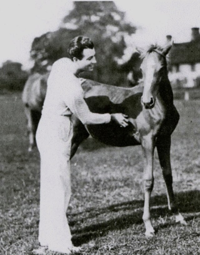 Robert Taylor, Horseman: Updated | Robert Taylor Actor