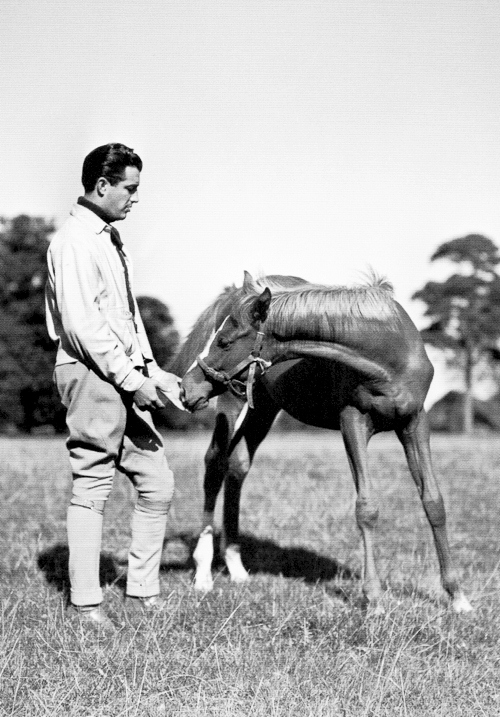 Robert Taylor, Horseman: Updated | Robert Taylor Actor