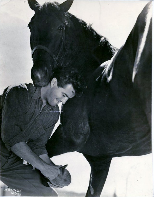 Robert Taylor, Horseman: Updated | Robert Taylor Actor