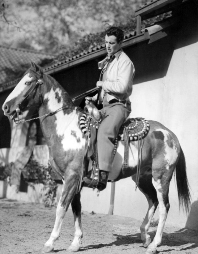 Robert Taylor, Horseman: Updated | Robert Taylor Actor
