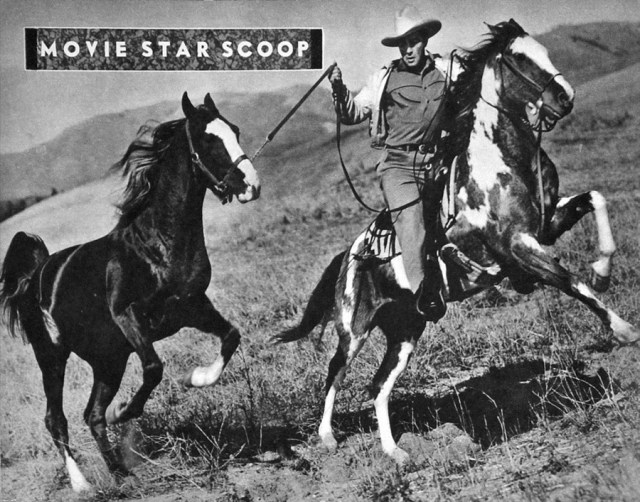 Robert Taylor, Horseman: Updated | Robert Taylor Actor
