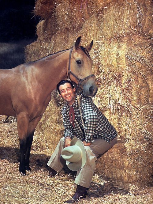Robert Taylor, Horseman: Updated | Robert Taylor Actor